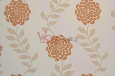 硅藻泥VS乳膠漆哪個(gè)好？