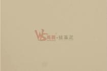 硅藻泥-平涂1